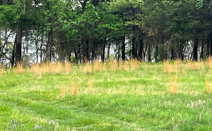 Pictures of Land property located at 35 Scenic View Road, Kingston, OK 73439 for sales - image #1