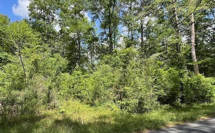 Pictures of Land property located at Jeane Chapel Road, Leesville, LA 71446 for sales - image #1