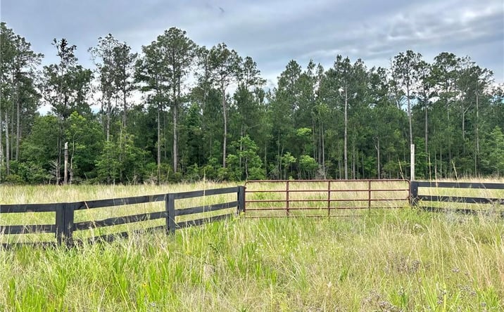 Pictures of Land property located at Navajo Trail, Vinton, LA 70668 for sales - image #1