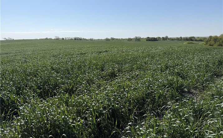 Pictures of Land property located at TBD #2 H Highway, Darlington, MO 64438 for sales - image #1