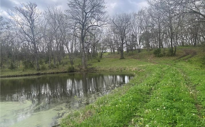Pictures of Land, Special Purpose property located at 493 SW 1000 Road, Chilhowee, MO 64733 for sales - image #1