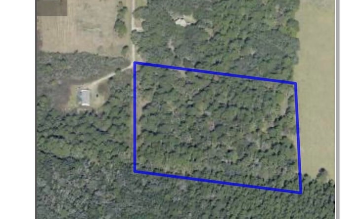 Pictures of Land property located at County Rd 90 E, Bunnell, FL 32110 for sales - image #1