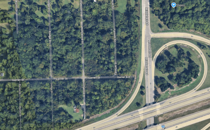 Pictures of Land property located at Farnum St, Romulus, MI 48174 for sales - image #1