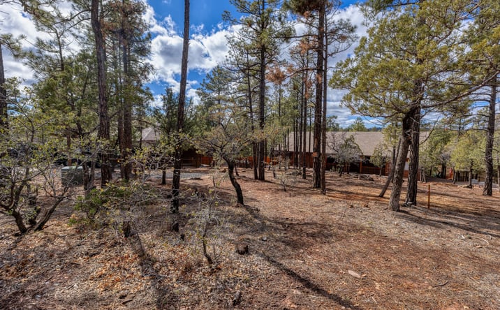 Pictures of Land property located at 4701 S PINE WAY, SHOW LOW, AZ 85901 for sales - image #1