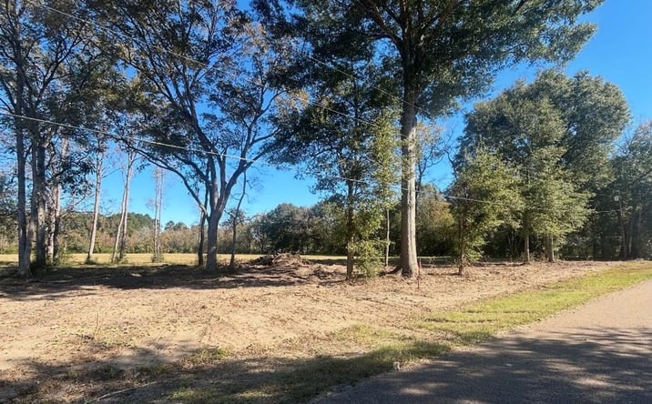 Pictures of Land property located at 13052 Capace Rd, Independence, LA 70443 for sales - image #1