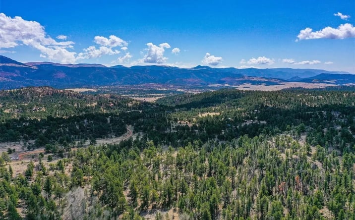 Pictures of Land property located at 487 Pikeview Ln, Florissant, CO 80816 for sales - image #1