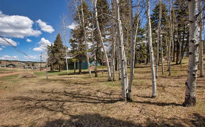 Pictures of Land property located at 571 Will Scarlet Dr, Divide, CO 80814 for sales - image #1