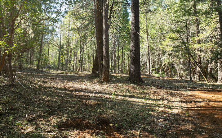 Pictures of Land property located at 12060 Redwood Hwy, Grants Pass, OR 97527 for sales - image #1