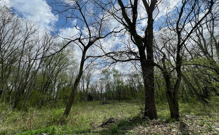 Pictures of Land property located at 3800 Brown Street, Hobart, IN 46342 for sales - image #1