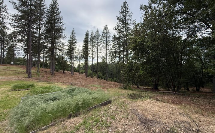 Pictures of Land property located at 16824 Pine Grove Reservoir, Nevada City, CA 95959 for sales - image #1