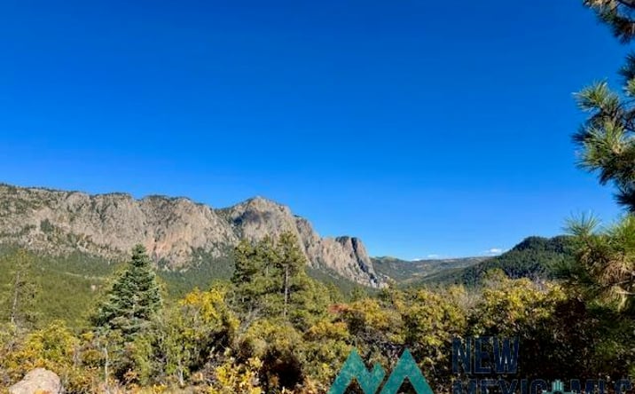 Pictures of Land property located at TBD Private Drive 1754-A Branch, Chama, NM 87520 for sales - image #1