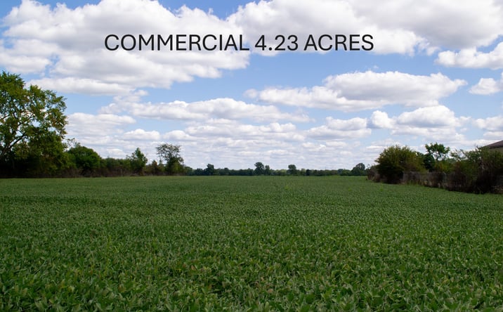Pictures of Land property located at CLIO RD, MT. MORRIS, MI 48458 for sales - image #1
