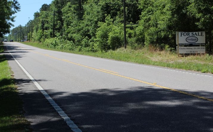 Pictures of Land property located at 13391 Dauphin Island Pkwy, Coden, AL 36523 for sales - image #1