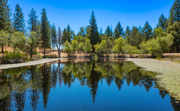 Pictures of Land property located at 58380 California 162, Covelo, CA 95428 for sales - image #1