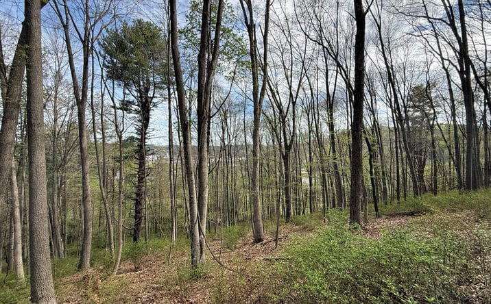 Pictures of Land, Multifamily property located at TBD Holly St, Galax, VA 24333 for sales - image #1