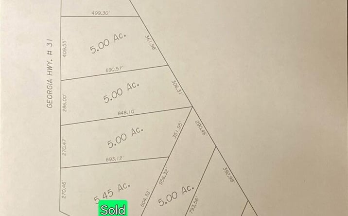 Pictures of Land property located at GA Hwy. 31 & Spells Rd., Lakeland, GA 31635 for sales - image #1