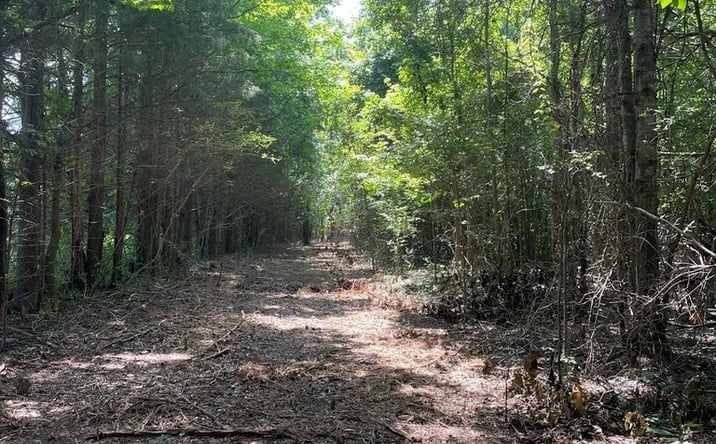Pictures of Land property located at Cleo Clark Rd, Canton, MS 39046 for sales - image #1