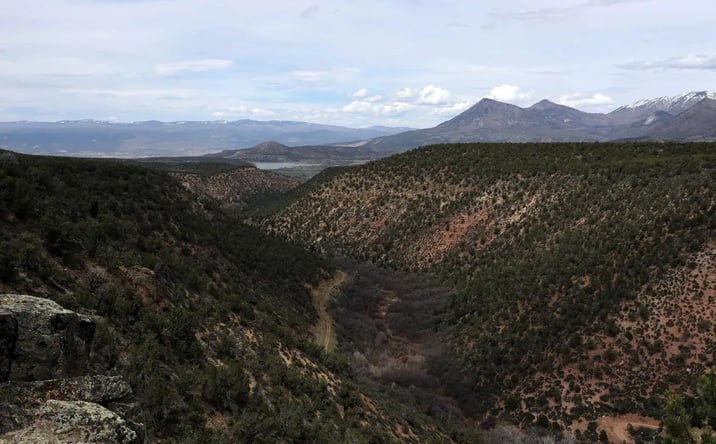 Pictures of Land property located at TBD BLM RD, 16228, CO 81415 for sales - image #1
