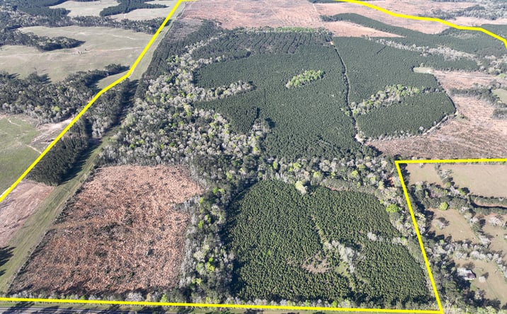 Pictures of Land property located at Highway 146, Livingston, TX 77351 for sales - image #1