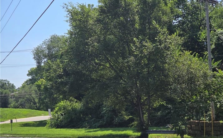 Pictures of Land, Multifamily property located at 601 E 85th Street, Kansas City, MO 64131 for sales - image #1
