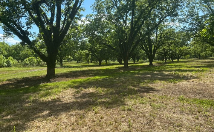 Pictures of Land property located at 00 Highway 18, Raymond, MS 39154 for sales - image #1