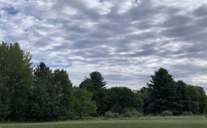 Pictures of Special Purpose property located at 5 AC W Houghton Lake Drive , 5 Acres #1, Houghton Lake, MI 48629 for sales - image #1