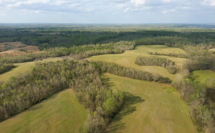 Pictures of Land property located at Highway 114, Hollow Rock, TN 38342 for sales - image #1