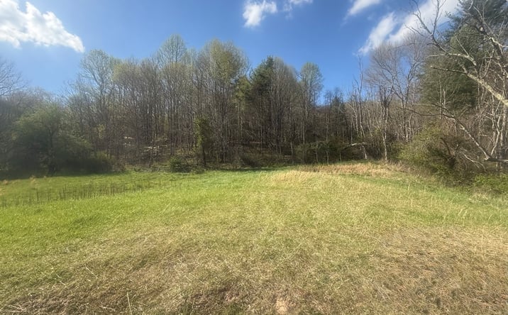 Pictures of Land, Multifamily property located at TDB Beadwood Lane, Damascus, VA 24236 for sales - image #1