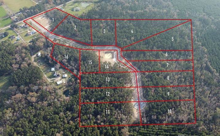 Pictures of Land property located at 18487 Settlement Trace, Livingston, LA 70754 for sales - image #1