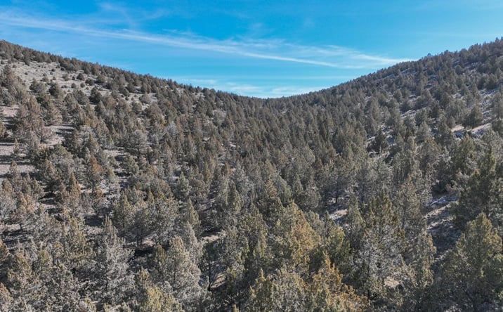 Pictures of Land property located at TL 400 Silver Creek Rd, Riley, OR 97758 for sales - image #1