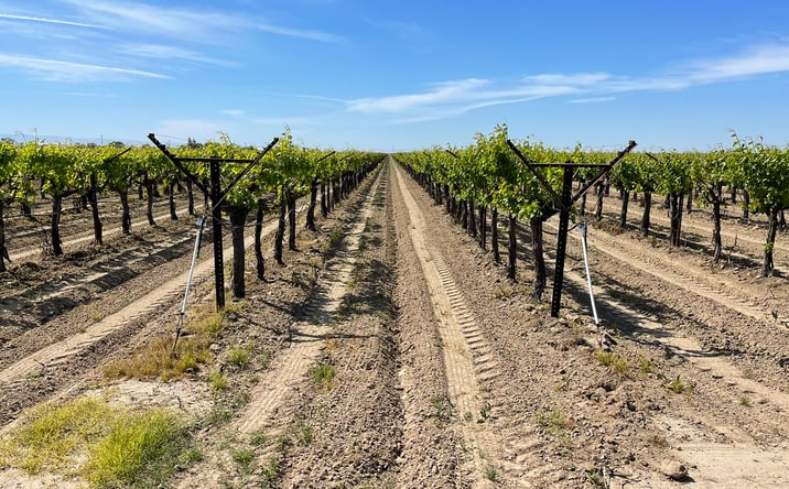 Pictures of Land property located at NWC Madera & Central/NEC Madera & Lincoln Aves., Kerman, CA 93630 for sales - image #1