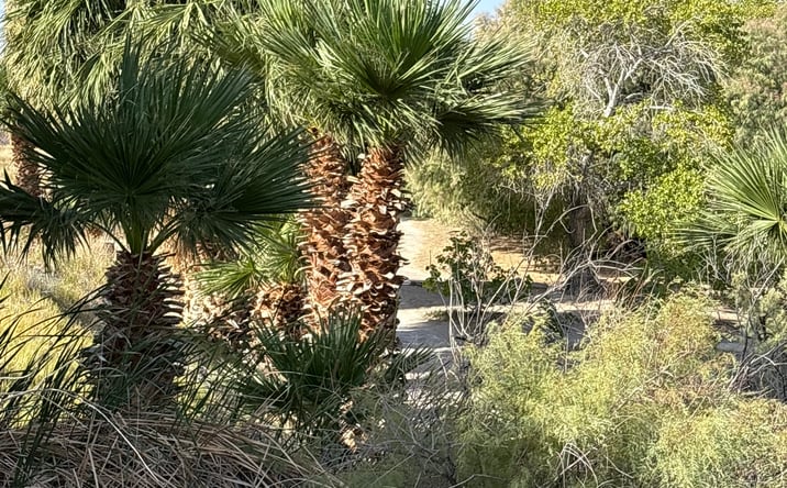 Pictures of Land, Special Purpose property located at Juanita Springs Ranch, Bunkerville, NV 89007 for sales - image #1