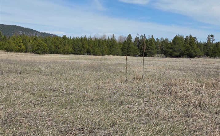 Pictures of Land property located at 107 Marion Meadows Trail, Marion, MT 59925 for sales - image #1