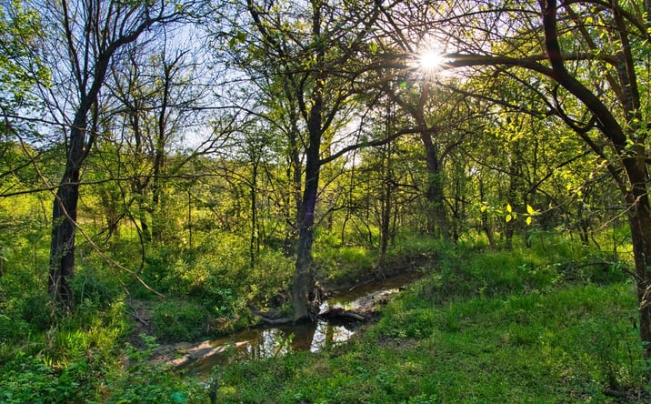 Pictures of Land property located at E 1860, Atoka, OK 74525 for sales - image #1