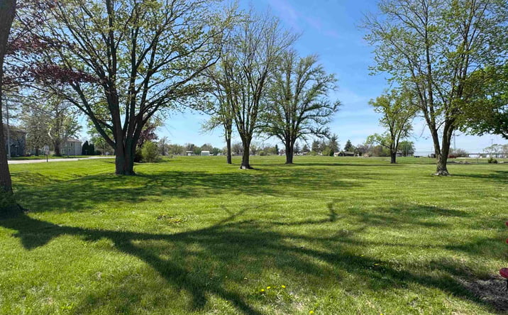 Pictures of Land, Special Purpose property located at 210 Louisiana Street, Middletown, IA 52638 for sales - image #1