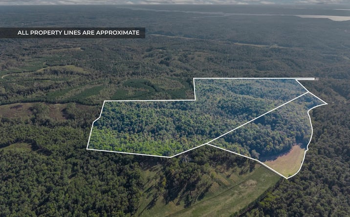 Pictures of Land property located at Cox Hollow, Dover, TN 37058 for sales - image #1
