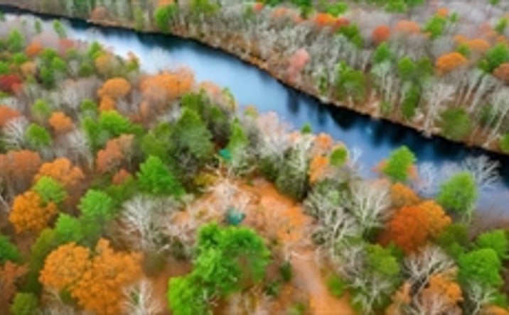 Pictures of Retail, Mixed Use, Land property located at 38 King Dr, Wilbraham, MA 01095-1236 for sales - image #1