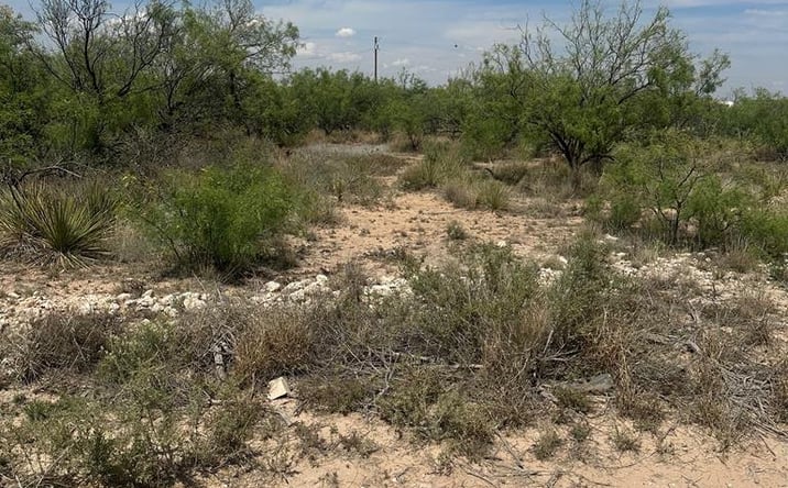 Pictures of Land property located at TBD W County Rd 179, Midland, TX 79766 for sales - image #1