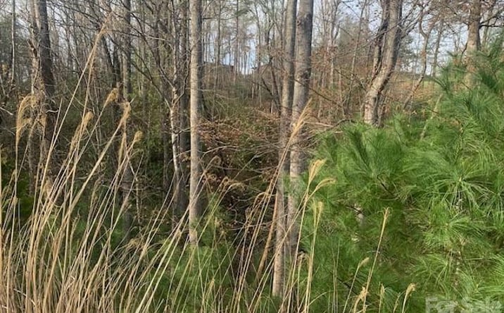 Pictures of Land, Special Purpose property located at Holbert Cove Road #2, Saluda, NC 28773 for sales - image #1