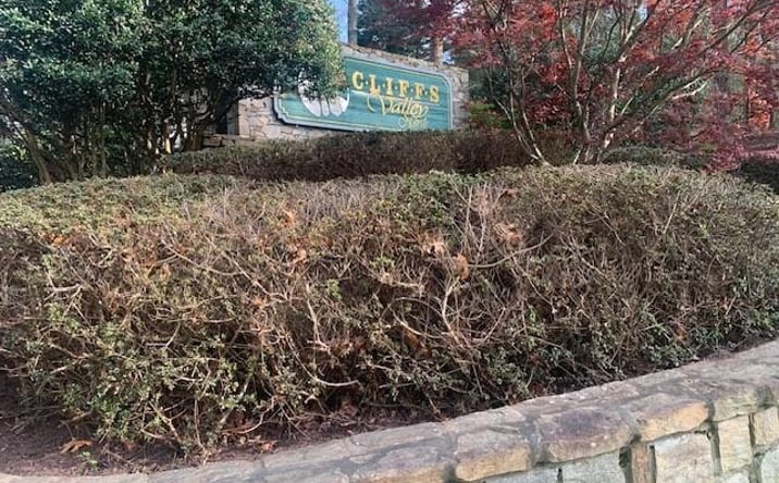 Pictures of Land property located at Mountain Summit Road #92, Zirconia, NC 28790 for sales - image #1