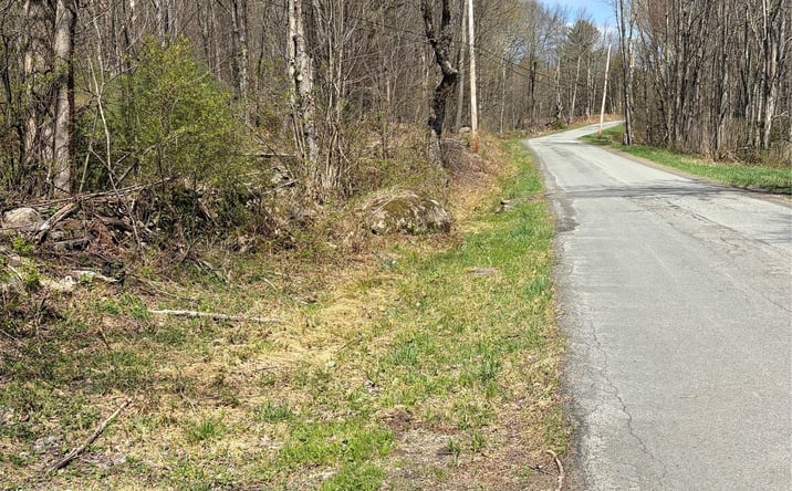 Pictures of Land property located at 209 Stream Hollow, Fallsburg, NY 12428 for sales - image #1