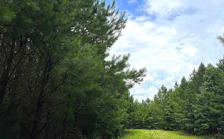 Pictures of Land property located at 0 Denver Road, Dadeville, AL 36853 for sales - image #1