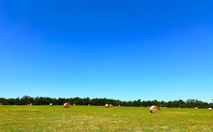 Pictures of Land property located at 880 Wasden Road, Hope Hull, AL 36043 for sales - image #1