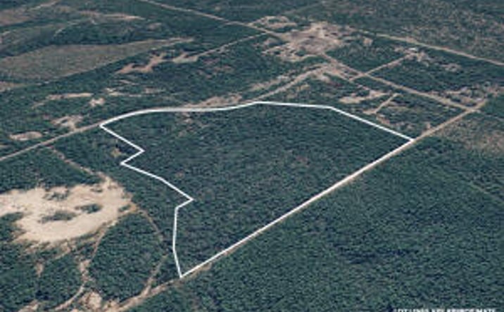 Pictures of Land property located at 287 High Lonesome Road, DeFuniak Springs, FL 32435 for sales - image #1