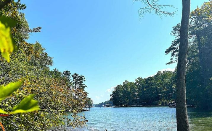 Pictures of Land property located at Cagles Cove Road, Eclectic, AL 36024 for sales - image #1