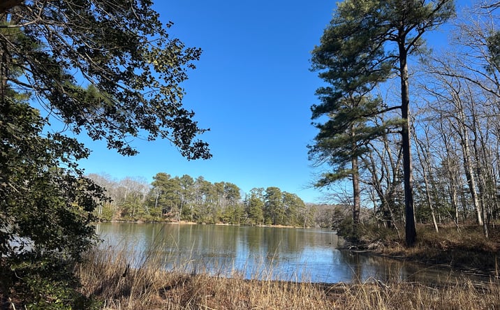 Pictures of Land property located at 00 Taylors Beach Rd, Reedville, VA 22539 for sales - image #1