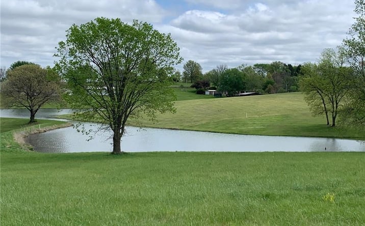 Pictures of Land, Special Purpose property located at 6695 SE Tillery Road, Faucett, MO 64448 for sales - image #1