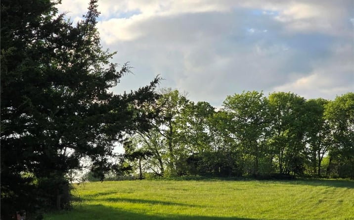 Pictures of Land property located at TBD 501 80 +/- Acres Road, Clinton, MO 64735 for sales - image #1