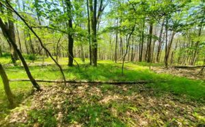 Pictures of Land, Multifamily property located at Tbd Piney Lane, Cragsmoor, NY 12420 for sales - image #1
