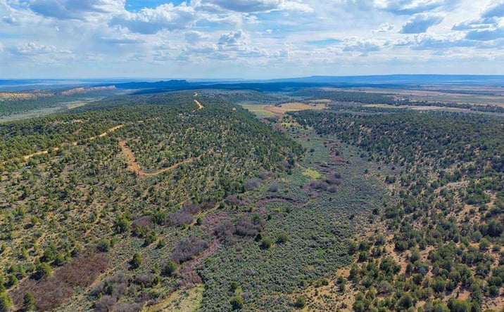 Pictures of Land property located at TBD Cr 136, Hesperus, CO 81326 for sales - image #1